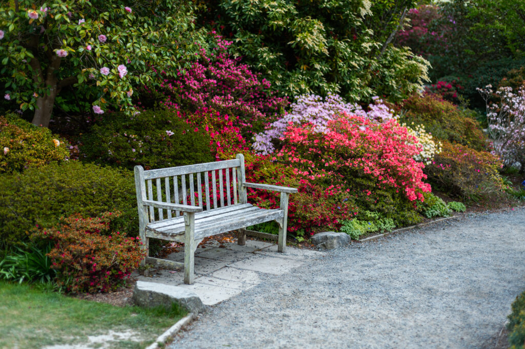 wooden bench surrounded by colourful flowers in a peaceful background
